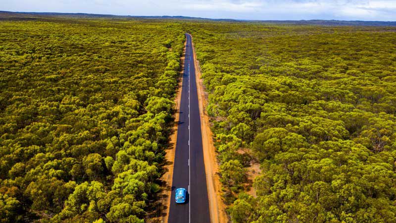 Wiebe Wakker visits Kangaroo Island. Source:PlugMeIn/Twitter