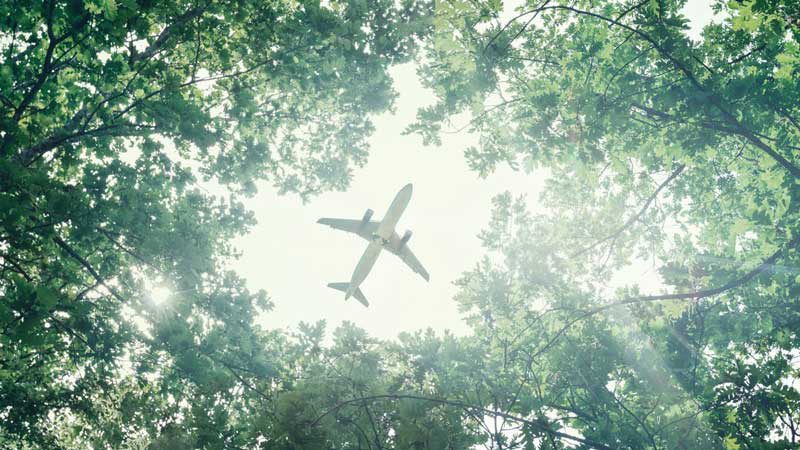 Sergey Tinyakov/Shutterstock