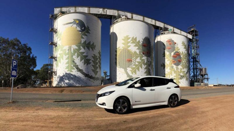 Floral mural painted on the silos at Ravensthorpe WA.