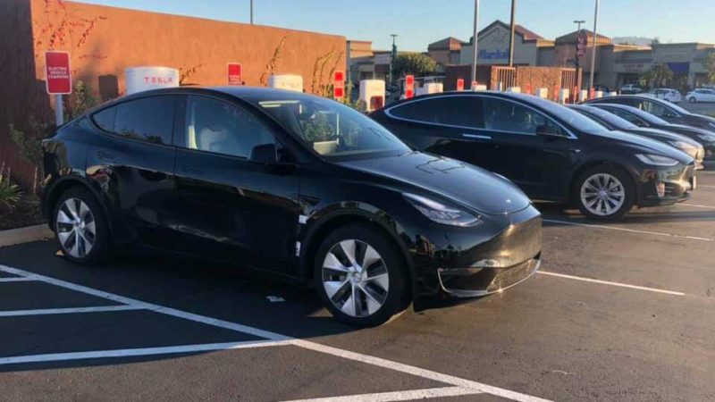 model y sighting