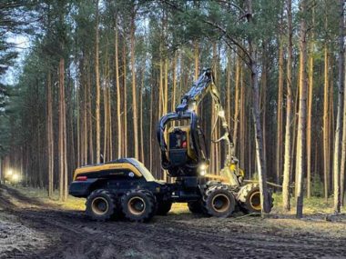 berlin tesla tree clearing