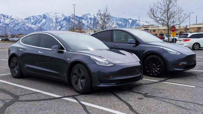 Model Y and Model 3
