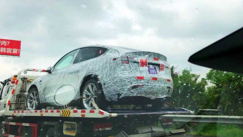 model Y china