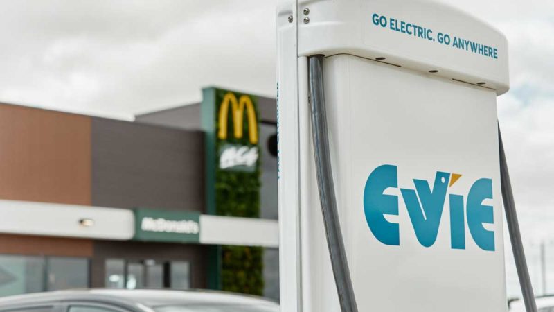 evie mcdonalds