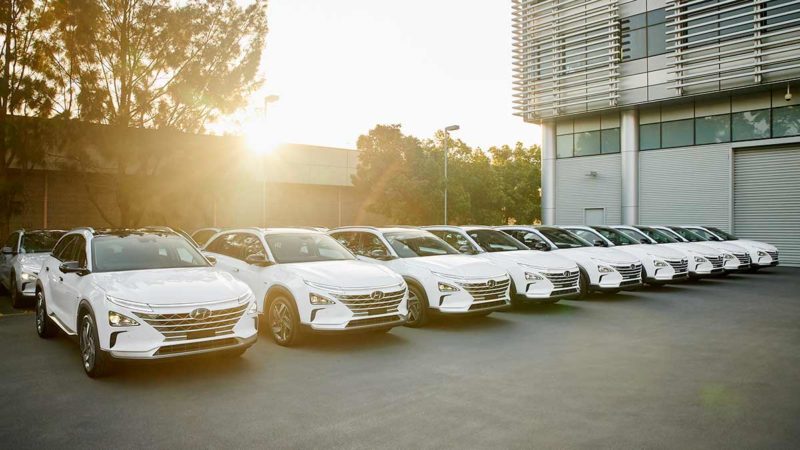 The fleet of Hyundai NEXO hydrogen vehicles (Credit: Hyundai).