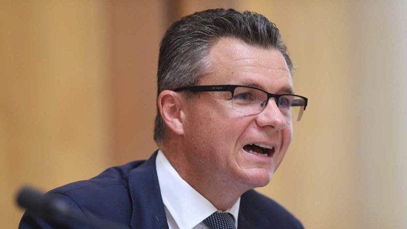 Labor MP Matt Thistlethwaite. Image credit: Lukas Coch
