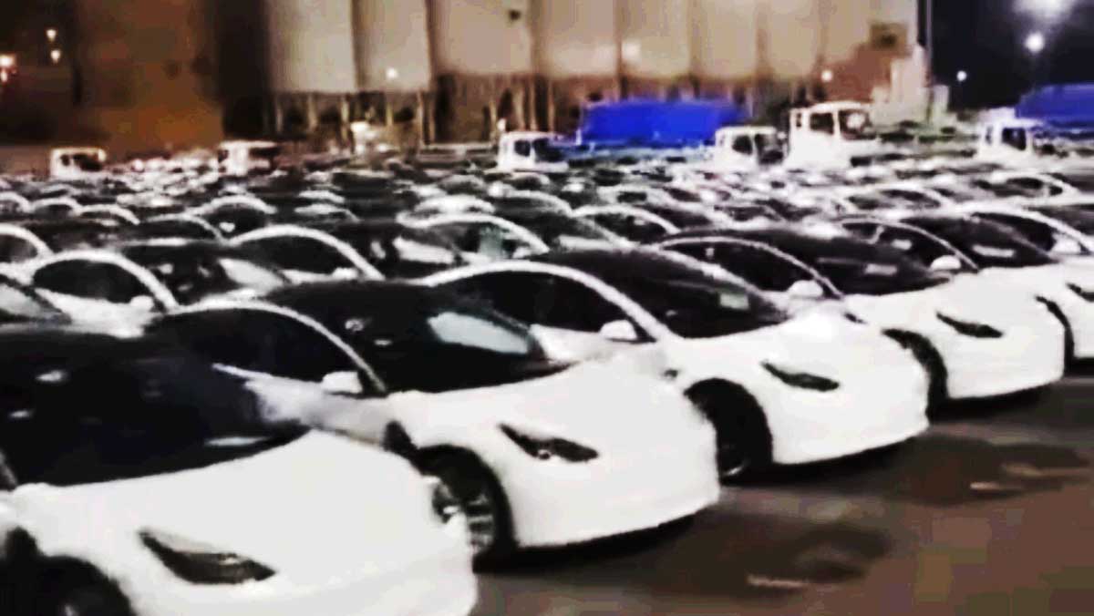 tesla model 3 port kembla