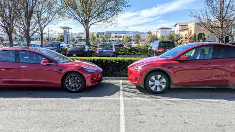model s vs model y