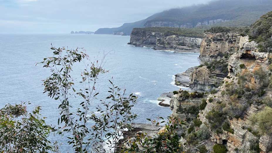 View to Cape Huay from Eaglehawk Neck, Tasmania. Image: Bridie Schmdit