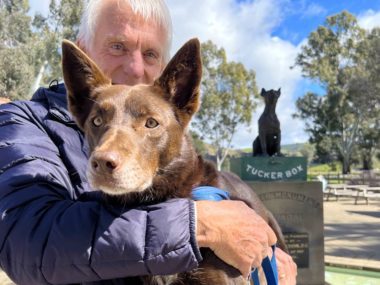 Holly the dog at the tuckerbox