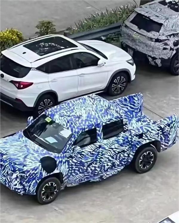 BYD Ute Spotted
