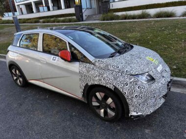 Dolphin Spotted Canberra May 2023 - 02 Jeremy W