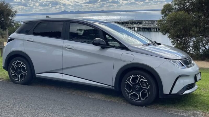 byd dolphin