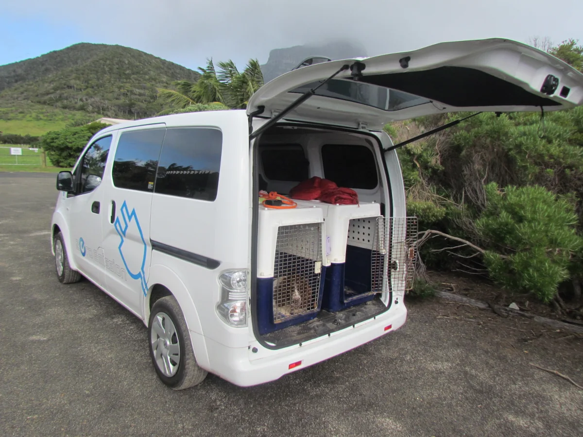 Lord Howe Island Board biosecurity dog transport van, a Nissan e-NV200. Source: Chris Murray