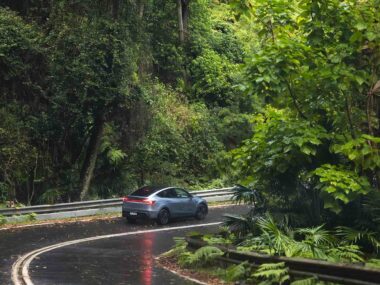 model y tesla forest green rain