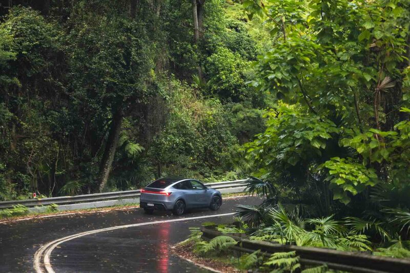 model y tesla forest green rain